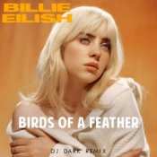 Обкладинка Billie Eilish – Birds Of A Feather
