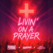 Обкладинка Harris & Ford & Teknoclash & Lost Identity – Livin‘ On A Prayer (HARDSTYLE)