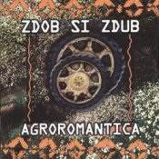 Обкладинка Zdob și Zdub – Tempo