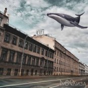 Слухати MONOЛИЗА – Когда