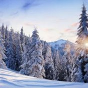 Слухати Y.K. MUSIC – ОЙ, КАРПАТИ - БІЛІ ШАТИ