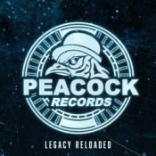 Обкладинка Hyrule War – Purifier (Original Mix)