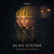 Обкладинка INDI – In My System