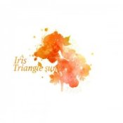 Обкладинка Triangle Sun – Flower Dance