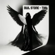 Owl Stone - Тінь