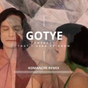 Обкладинка Gotye – Somebody That I Used to Know (Komanchi Radio Edit)