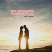 Обкладинка DNDM & Davvi – Te Fuiste