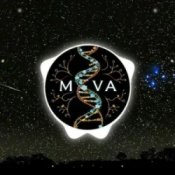 Обкладинка AI MOVA – Остання ніч