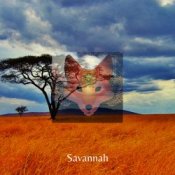 Обкладинка Savannah – Day After Day & Night