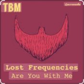 Lost Frequencies - Are You With Me