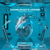 Обкладинка CamelPhat & Vomee – Needed You