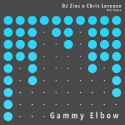 Обкладинка Dj Zinc – Gammy Elbow