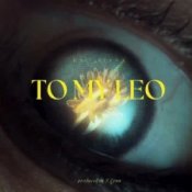 Обкладинка Hsu Rinaa – To My Leo (Violex Distortion Remix)