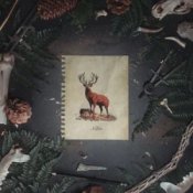 Обкладинка Of The Trees & LYNY – Hollow