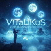 Обкладинка ViTaLiKuS – Сияет яркая полночная луна…