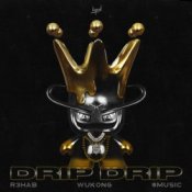 Обкладинка R3HAB & Wukong & $MUSIC – Drip Drip