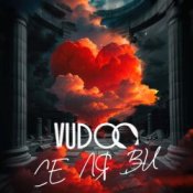 Обкладинка VUDOO – Се ля ви