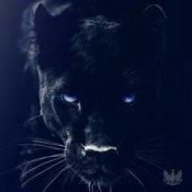 Слухати Adam Jamar – Black Panther