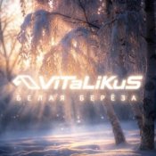 Обкладинка ViTaLiKuS – Белая берёза
