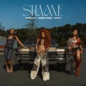 Обкладинка Honey Bxby & Queen Naija & BunnaB – Shame