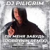 Обкладинка Dj Piligrim – Ты меня забудь