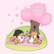 Обкладинка Hyper Potions – Cherry Blossoms