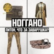 Обкладинка Ноггано – Питон, что за заварушка