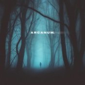 Обкладинка skyfall beats, silent anthem – arcanum