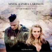 Обкладинка Mnek vs. Zara Larsson – Never Forget You (Stefiibeats Remix)