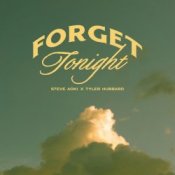 Обкладинка Steve Aoki – Forget Tonight (feat. Tyler Hubbard)