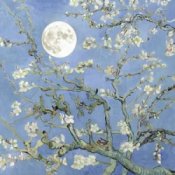 Обкладинка JVKE & JEON SOMI – moonboy