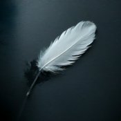 Обкладинка Enarvynn – Падший герой