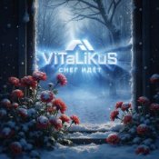 Обкладинка ViTaLiKuS – Снег идёт