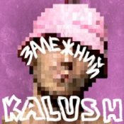 Обкладинка KALUSH – Залежний