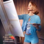 Обкладинка Andia – Pata de culoare (Dj Dark Remix)