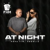 Обкладинка Papa Tin & Sharliz – At Night