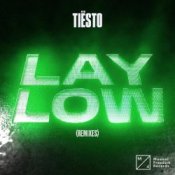 Обкладинка Tiesto – Lay Low (Arem Ozguc & Arman Aydin Remix)