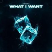 Обкладинка Ad Voca – What I Want