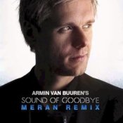 Обкладинка Armin van Buuren – The Sound Of Goodbye (Radio Edit)