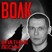 Обкладинка Виталий Волк – Стая