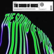 Обкладинка HÄWK, Azooland – The Sound Of House (Extended Mix)