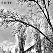 Обкладинка TheNobleMan – много дел