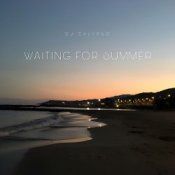 Обкладинка DJ Calypso – Waiting for Summer 2026