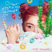 Обкладинка PP Wang – May Your Wish Come True