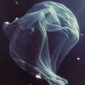 МʼЯТА & ХАС - Біла вуаль