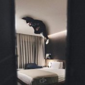 Обкладинка A.V.G – Ты мой сон