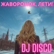 Обкладинка DJ Disco – Жаворонок