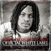 Обкладинка Waka Flocka Flame – Bingo