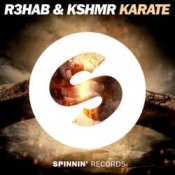 Обкладинка R3hab feat. Geil3 & Kshmr – Karate (Remix)