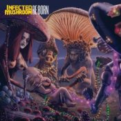 Обкладинка Infected Mushroom – Z.16 Open